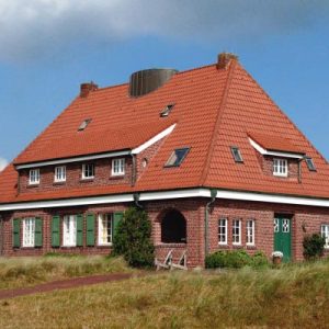 Ayurvedisches Fasten, Bewegung und Yoga für Gesundheit im Alltag und Beruf | Spiekeroog