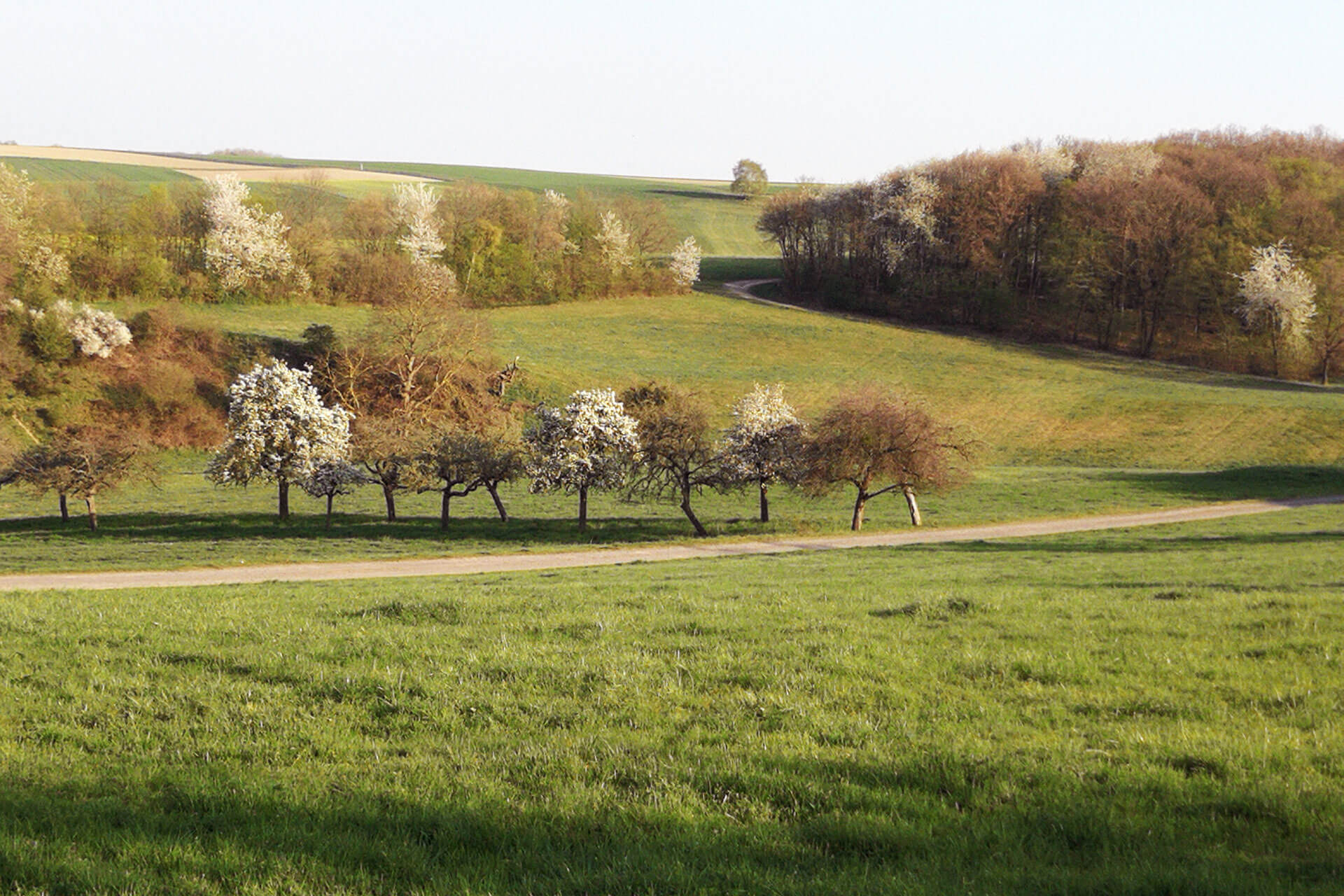 Naturerfahrung durch Yoga und Bewegungswellness