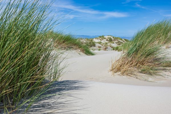 Gesundheitscoaching auf Norderney