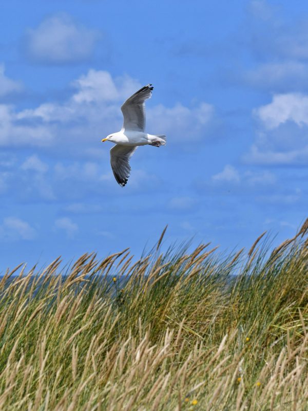 Tief durchatmen auf der Insel Langeoog